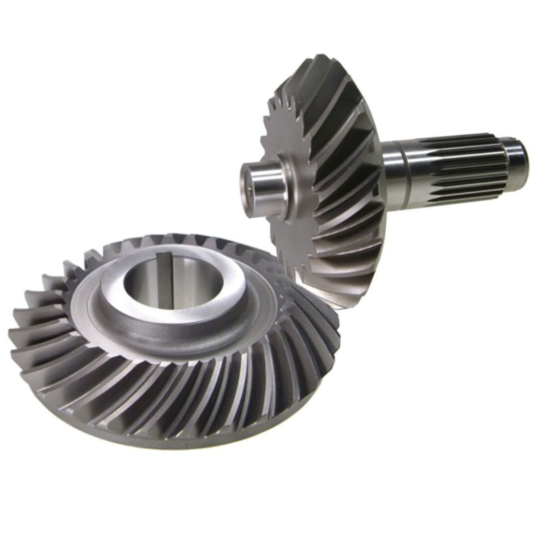 CORONA Y PIÑON (21/29)